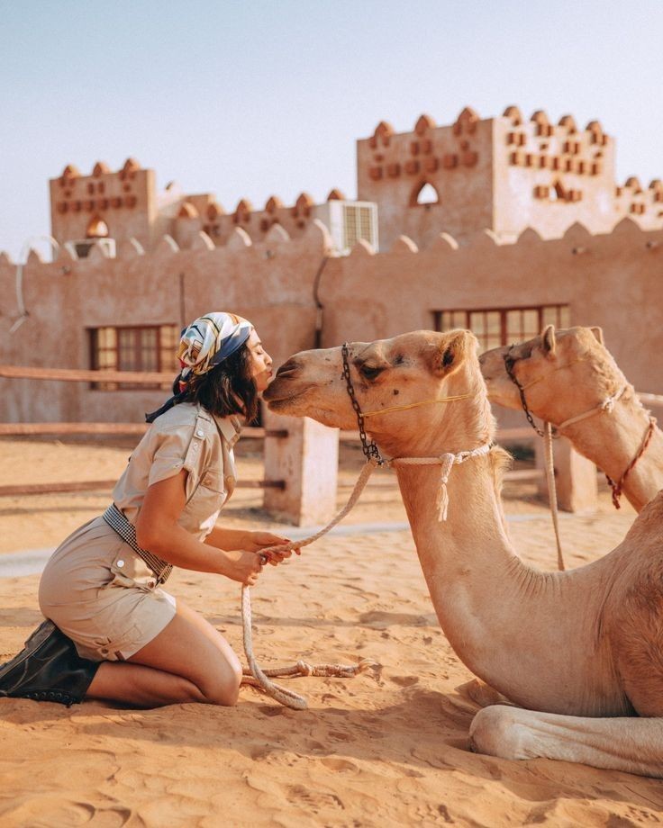 Unforgettable Desert Safaris in Abu Dhabi