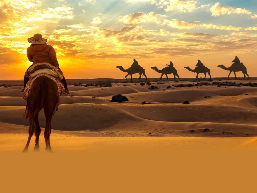 Evening Desert Safari Abudhabi